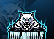 英雄联盟总决赛时间-狼队主场告捷，继续保持不败