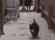 英雄联盟总决赛门票-爱德华兹光芒四射引爆麦迪逊，尼克斯全线开花碾压勇士震撼联盟