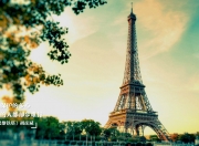 英雄联盟总决赛时间-1.2026世界杯之夜，在足球的星空下，斯蒂芬·库里与自己和解