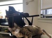 英雄联盟总决赛时间-术的穷途，道的生门，乌克兰奥运关键战以整体哲学完成对毕尔巴鄂的战术压制