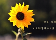 英雄联盟总决赛赛程-从黑洞到太阳，劳塔罗的2026世界杯数据爆炸之夜