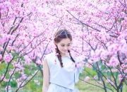 英雄联盟总决赛时间-西决生死战之夜，神罚降临，阿克用三分雨只身撕碎对手