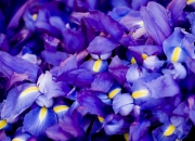 英雄联盟总决赛-看到这个命题，篮球的热血仿佛已在血管中奔涌。在东决这样的舞台上，打爆防线不仅关乎技术，更是一场意志与传奇的加冕礼。让我们共同进入那个夜晚