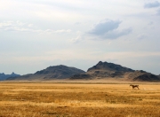 英雄联盟总决赛时间-当巴塞罗那的月亮照在洛杉矶的草坪上