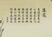 LOL赛事-草根逆袭，2026世界杯C组暗流涌动，沙特阿拉伯用亚洲智慧压制哥伦比亚，加维独木难支