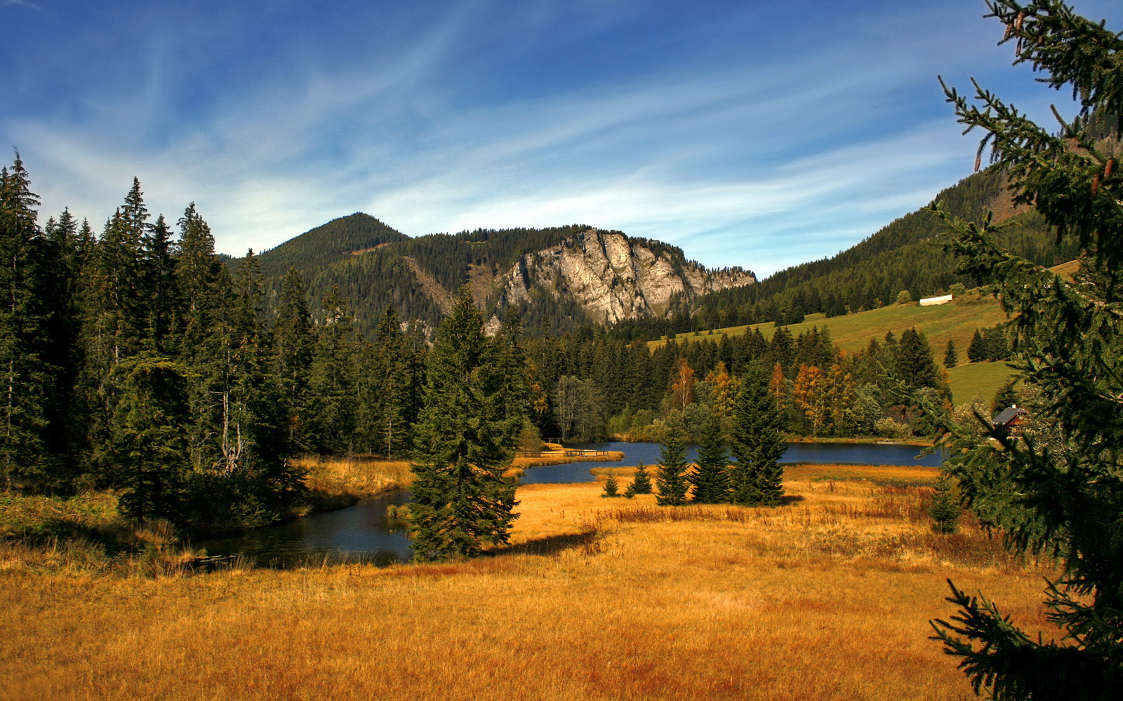 三笘薰巨星光芒四射，圣图尔登客场稳胜马赛