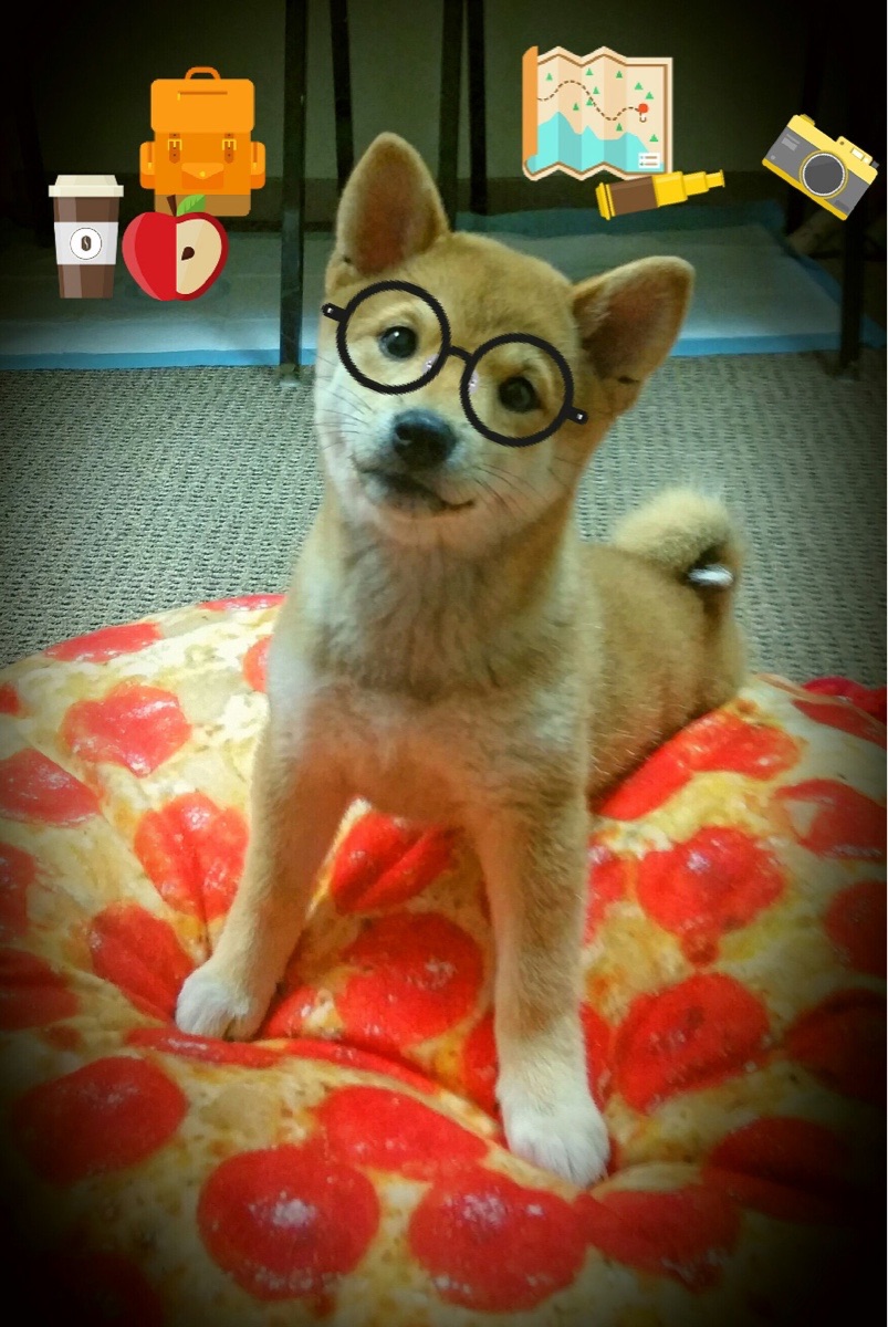 铁壁之下，东方利刃出鞘—伊拉克混凝土防线锁死曼联，孙兴慜终成胜负手