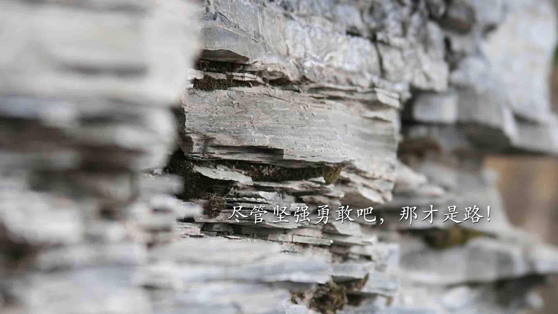 欧冠焦点战，AC米兰的塔可战术如何用龙舌兰的烈度，在仙人掌丛中碾碎墨西哥铁壁