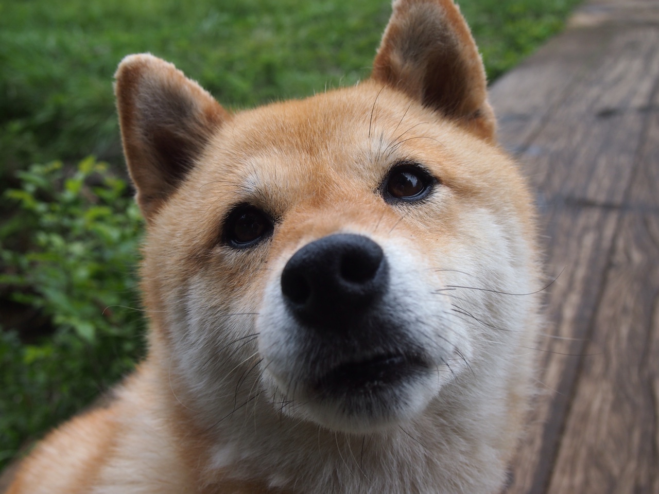 节奏之心，当哈登成为浙江队的交响乐指挥