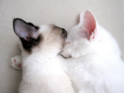 冰与火的交响曲，当北欧风暴席卷文艺复兴之城，萨内用一粒进球改写足球语法