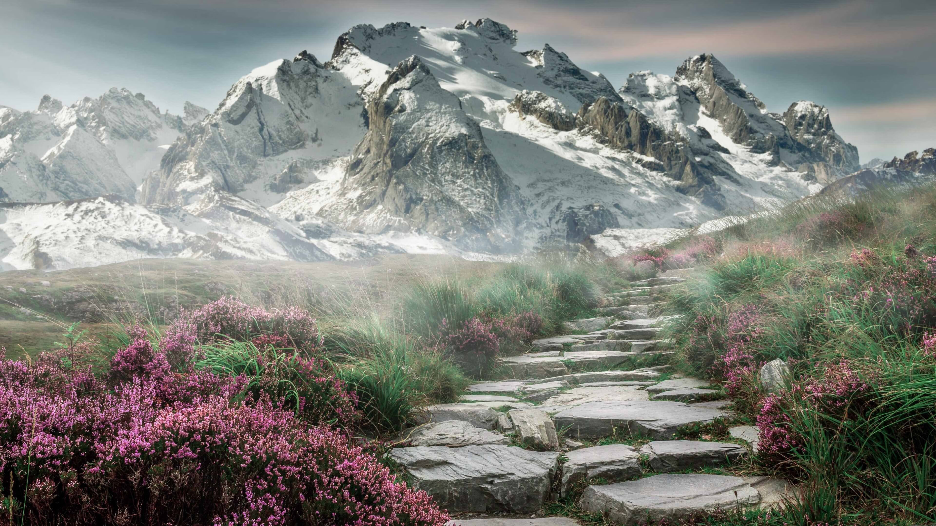 隐匿的第二战场，当哈登在广厦对阵凯尔特人时锁死的不只是对手