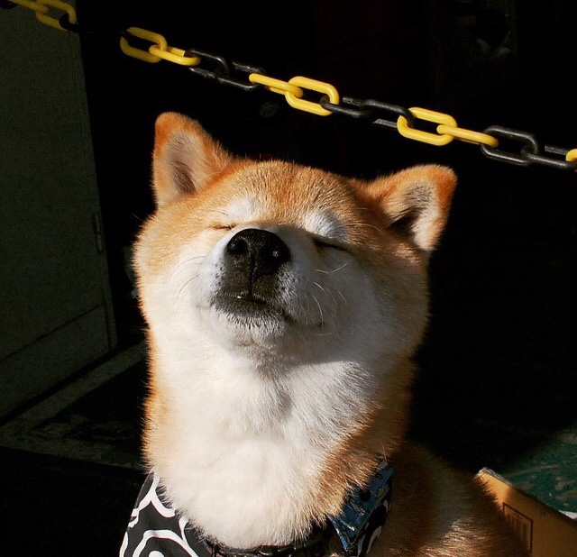 相隔二十年的两次逆转,定义了NBA最硬核的夺冠真理