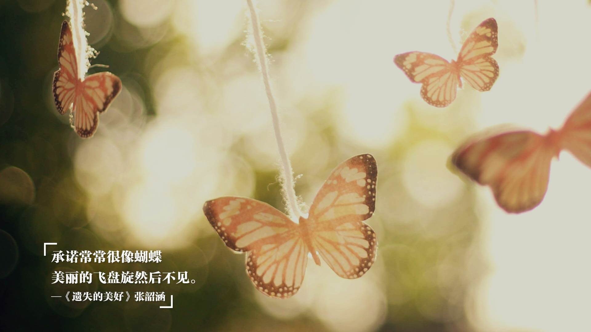 数据革命，当阿克数据揭开体育新纪元，奥地利如何掀翻皇家社会？