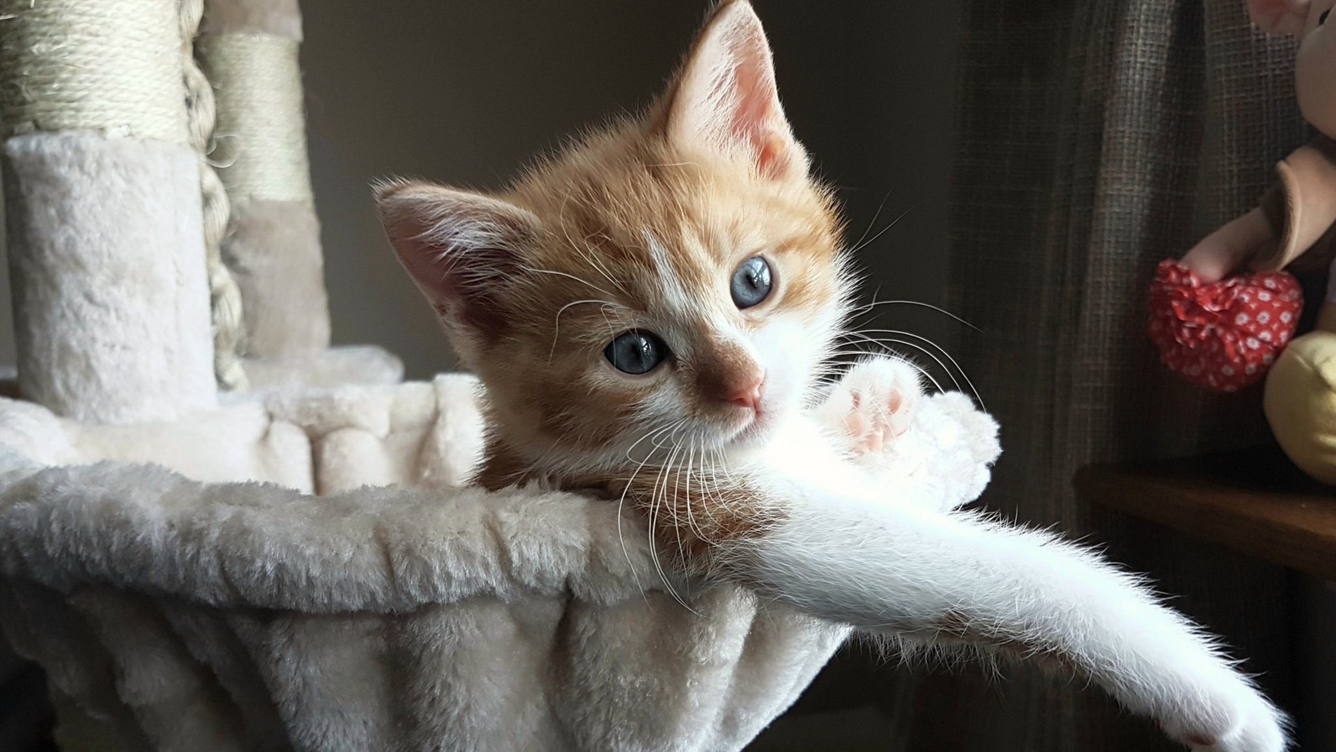 掘金横扫森林狼，德罗赞关键表现带队取胜