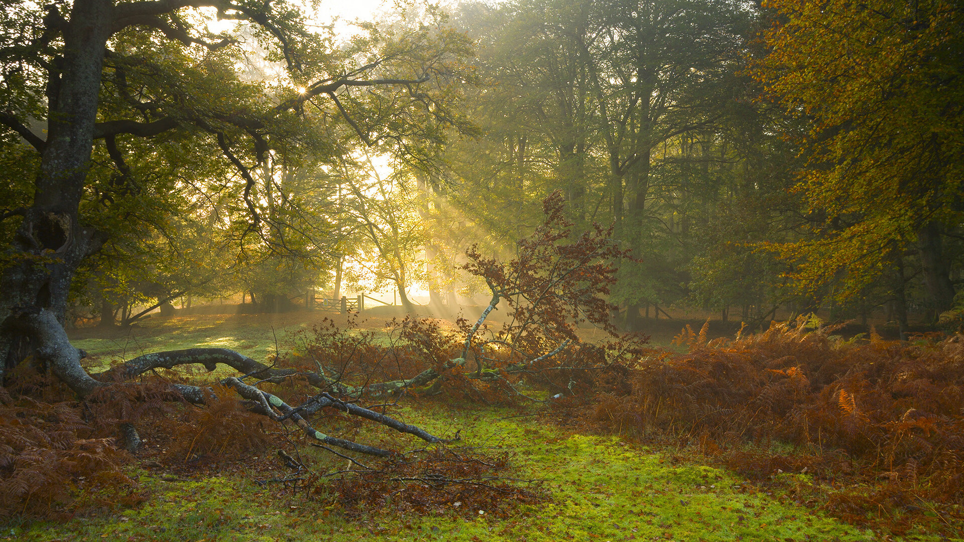 欧冠决赛夜，那个只在硬仗拔剑的沉默刺客