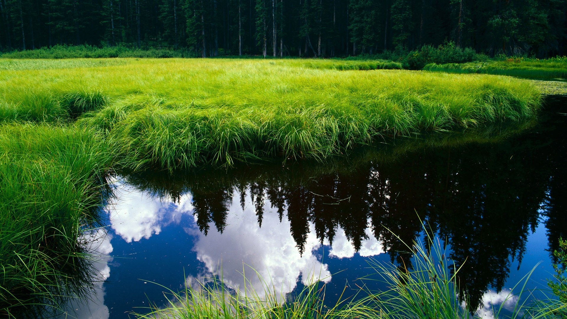 百年纪录成黑色三分钟注脚，蒂亚戈的荣耀之夜，如何被里昂的闪电战击得粉碎