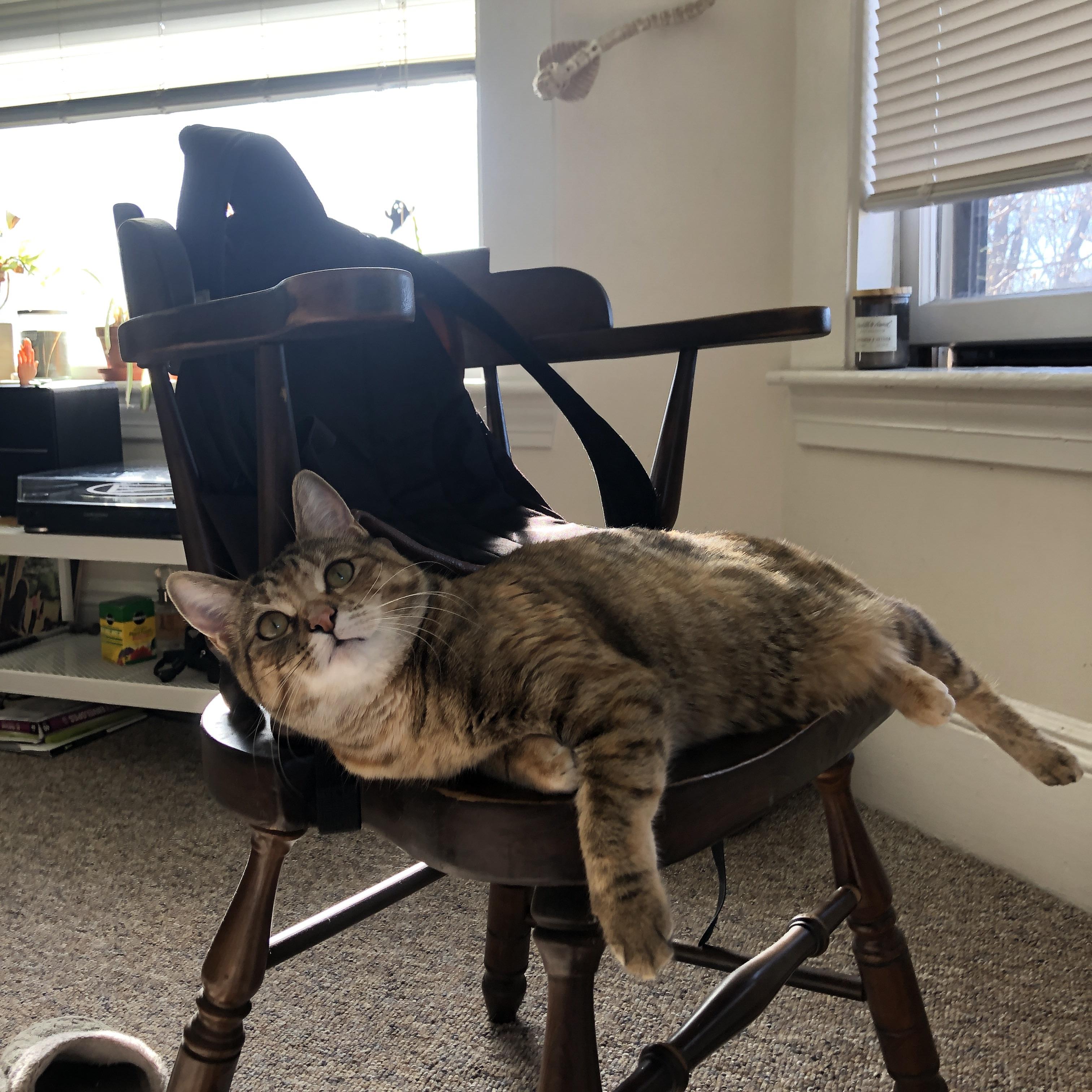 术的穷途，道的生门，乌克兰奥运关键战以整体哲学完成对毕尔巴鄂的战术压制