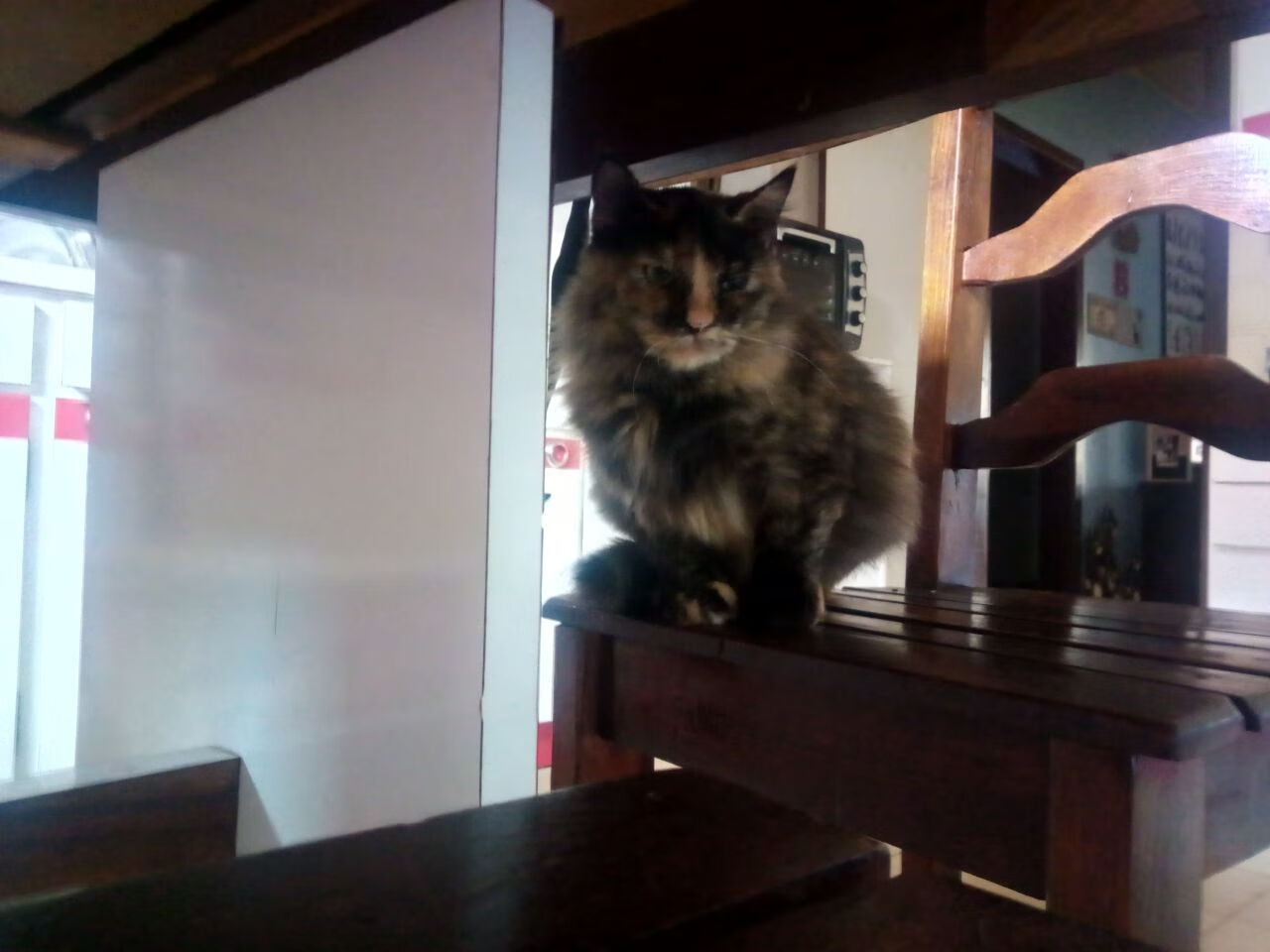 东瀛铁壁，苏格兰的叹息之夜—金玟哉一夫当关