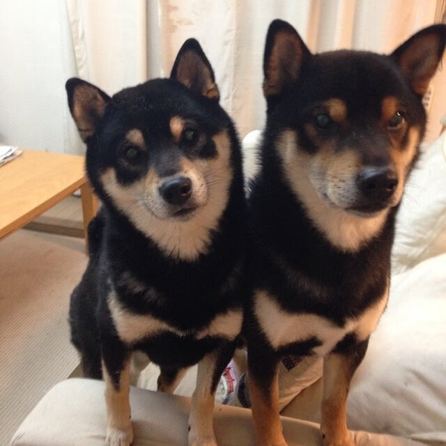 世界杯前夜的碰撞，新西兰vs波兰见证巴斯托尼50场里程碑