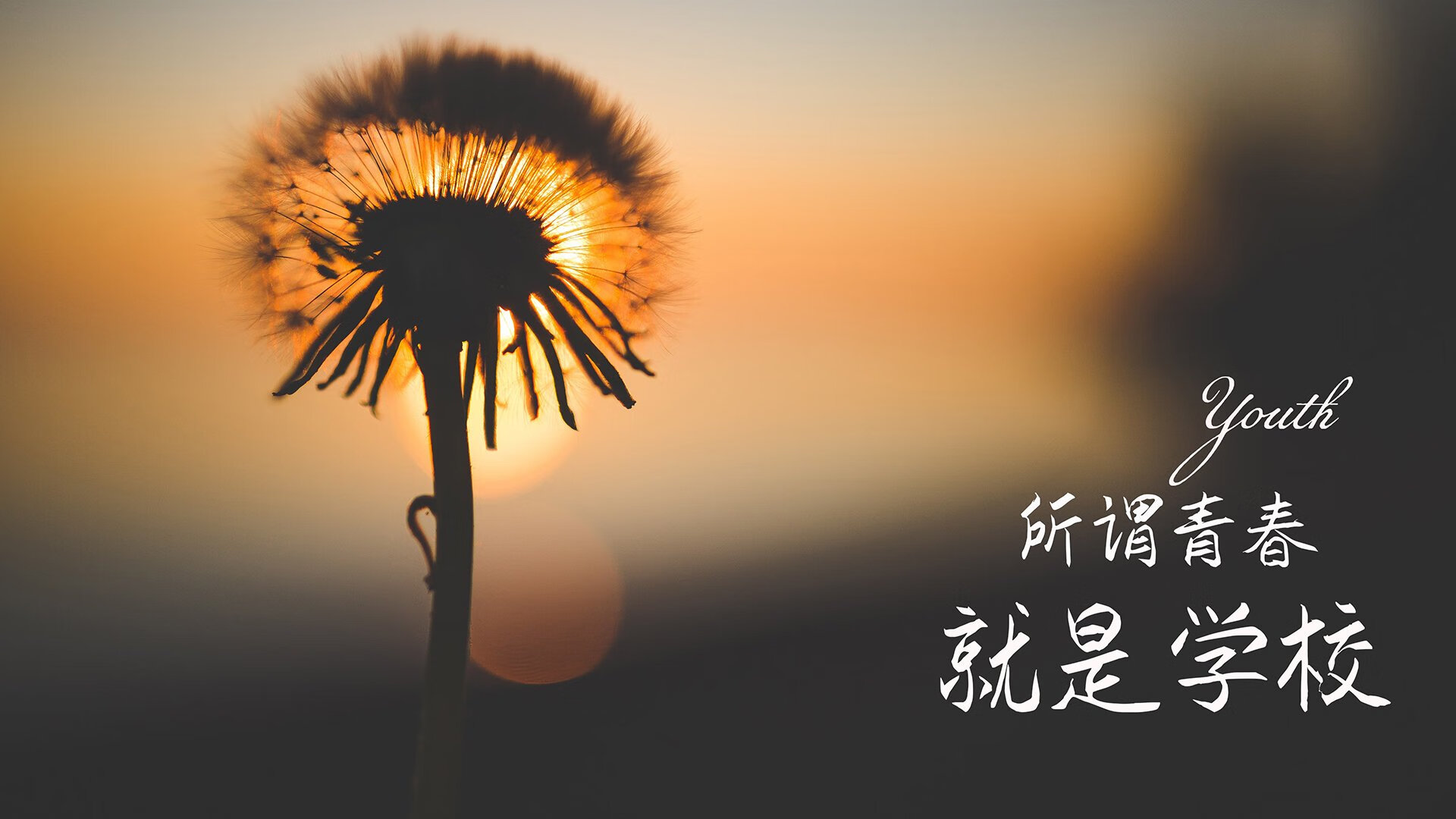 利马奇迹,当秘鲁战鼓震碎高卢雄鸡,萨卡在2026世界杯出线战中写下唯一传奇