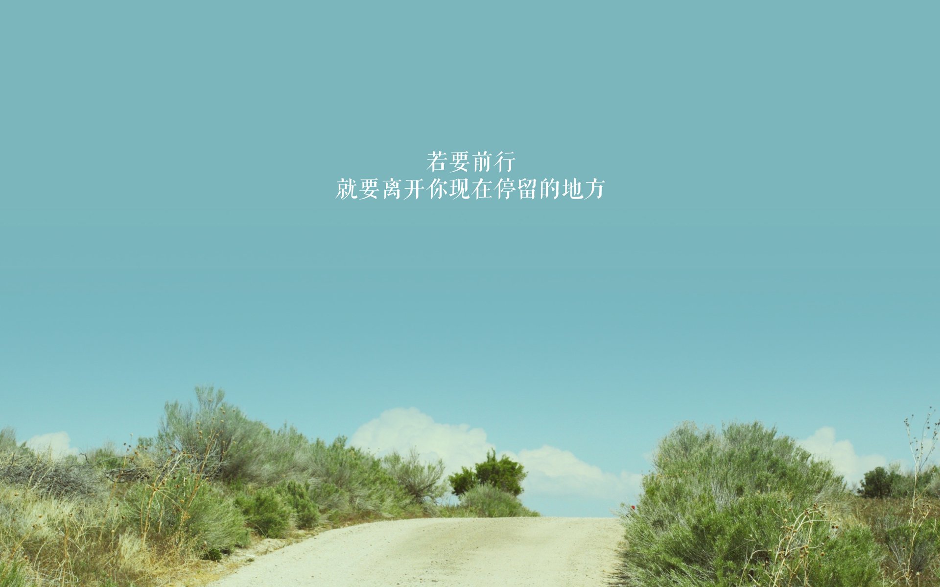 悲壮的舞者,当C罗的孤星闪耀,也难挡塞尔维亚防守反击的钢铁洪流—2026世界杯八分之一决赛记