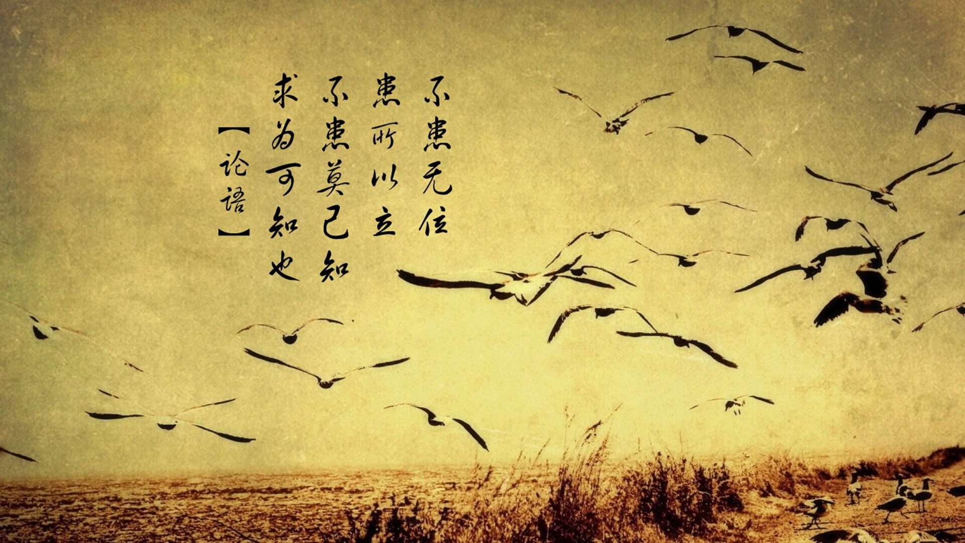 冰与火之歌,当三狮的铁蹄碾过红魔的残阳,孙兴慜用一己之力为防反正名